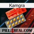 Kamgra new01